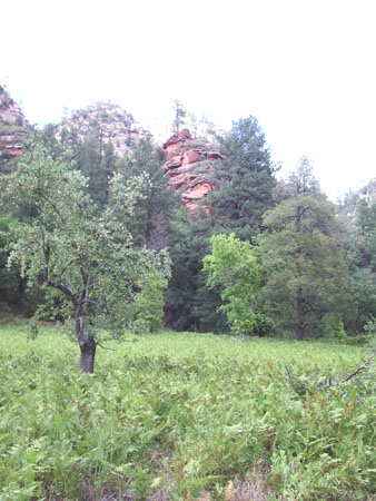 West Oak Creek Canyon West Oak Creek Canyon